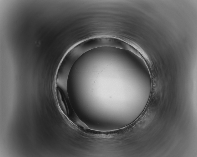 X0000087690996200705111317