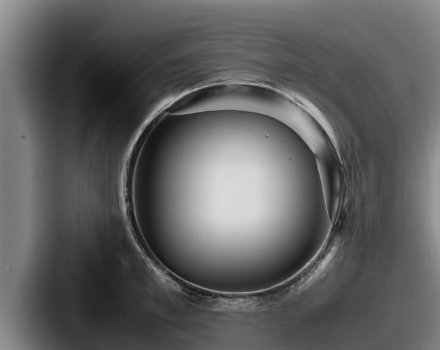 X0000087690997200705111317