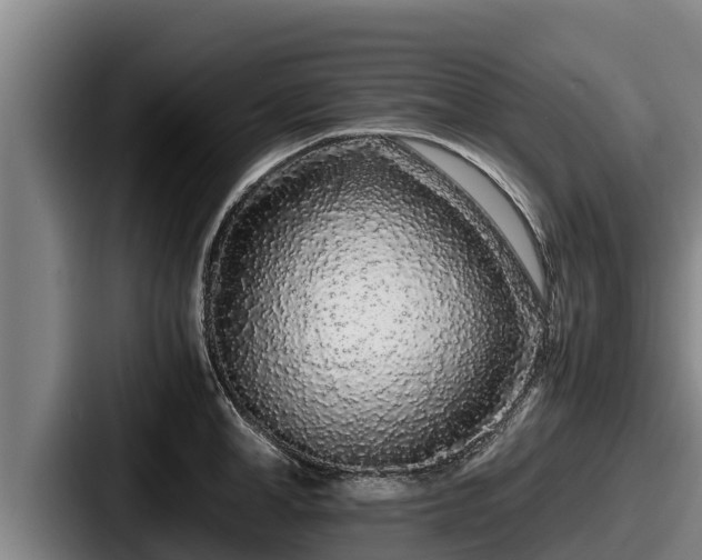 X0000087690998200705111317