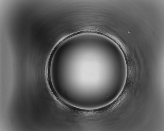 X0000087690999200705111317