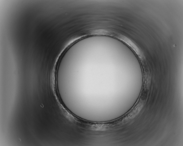X0000087691000200705111317