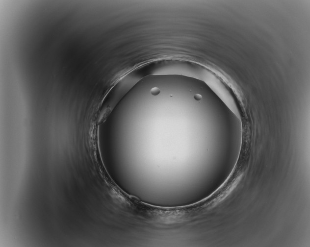 X0000087691001200705111317