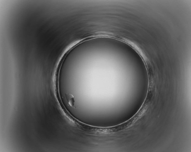 X0000087691003200705111317