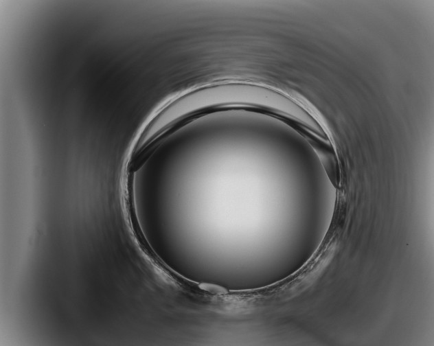 X0000087691005200705111317
