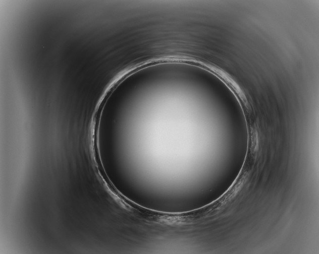X0000087691006200705111317