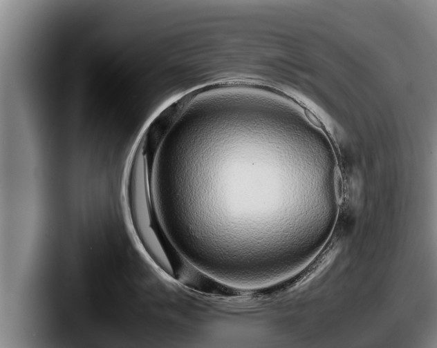 X0000087691007200705111316