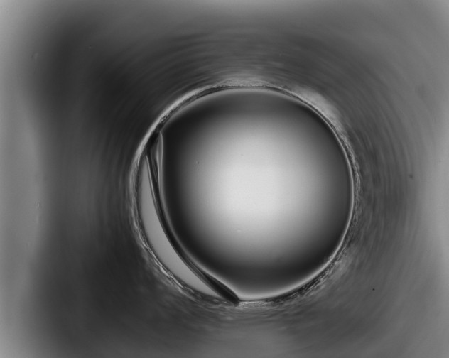 X0000087691008200705111316