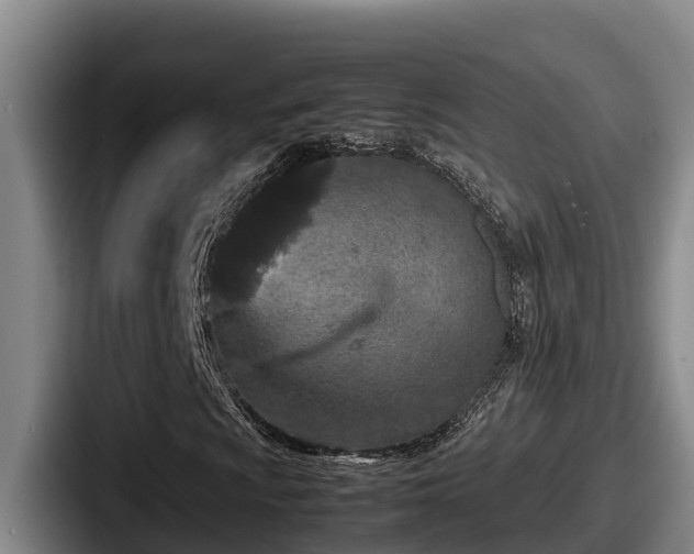 X0000087691009200705111316