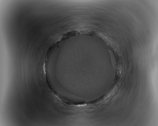 X0000087691010200705111316
