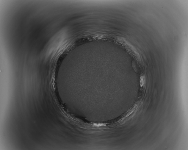 X0000087691011200705111316
