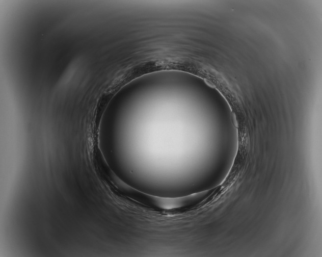 X0000087691012200705111316
