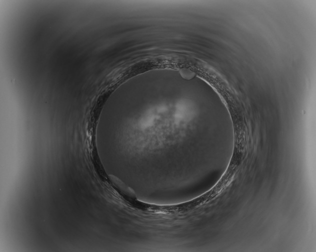 X0000087691013200705111316
