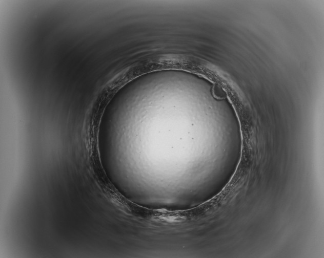 X0000087691015200705111316