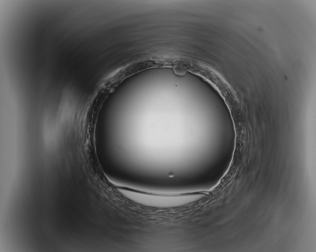 X0000087691016200705111316