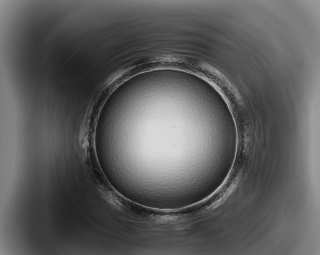 X0000087691017200705111316