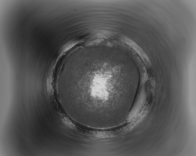X0000087691018200705111316