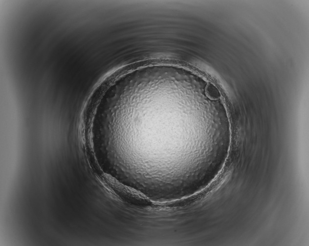 X0000087691019200705111316