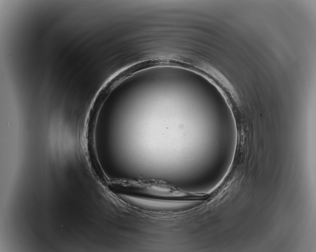 X0000087691020200705111316