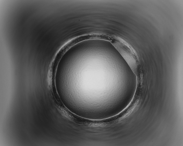 X0000087691021200705111316