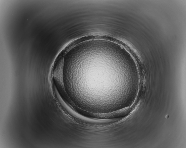 X0000087691022200705111316