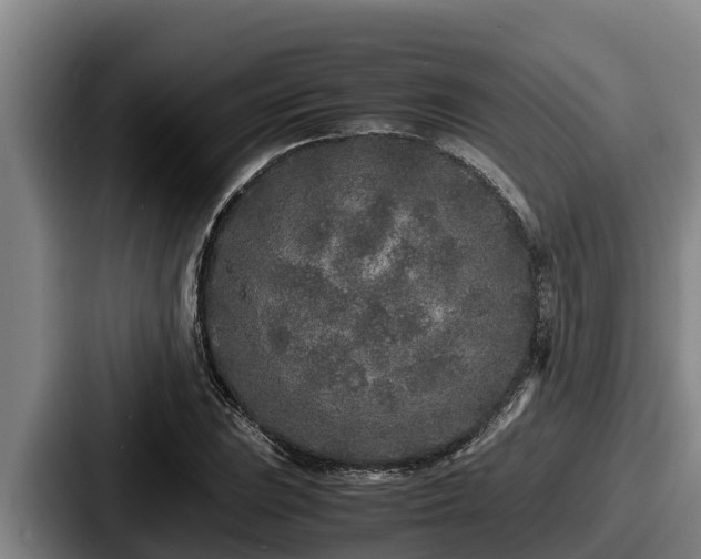 X0000087691023200705111316