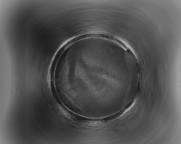 X0000087691024200705111316