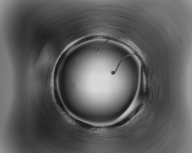 X0000087691028200705111316