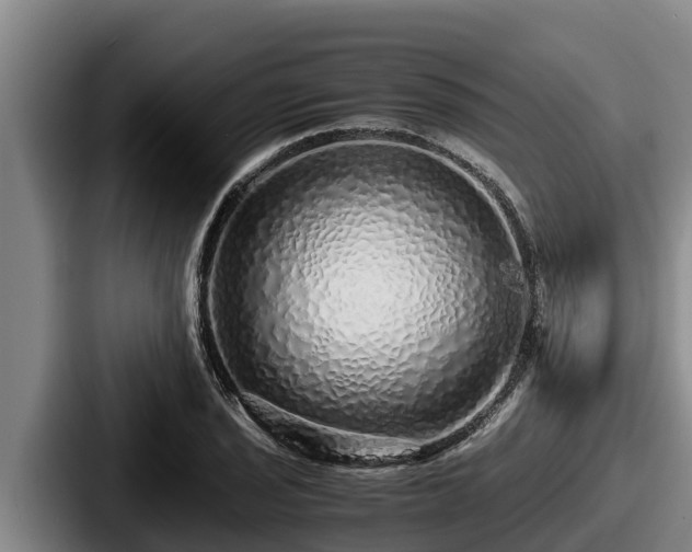 X0000087691029200705111316