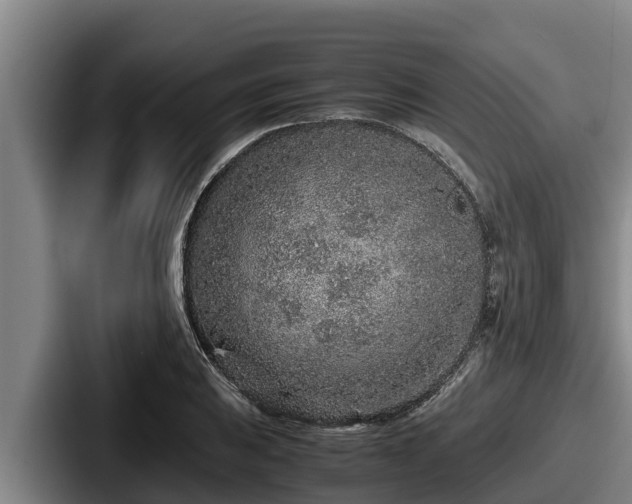 X0000087691031200705111316