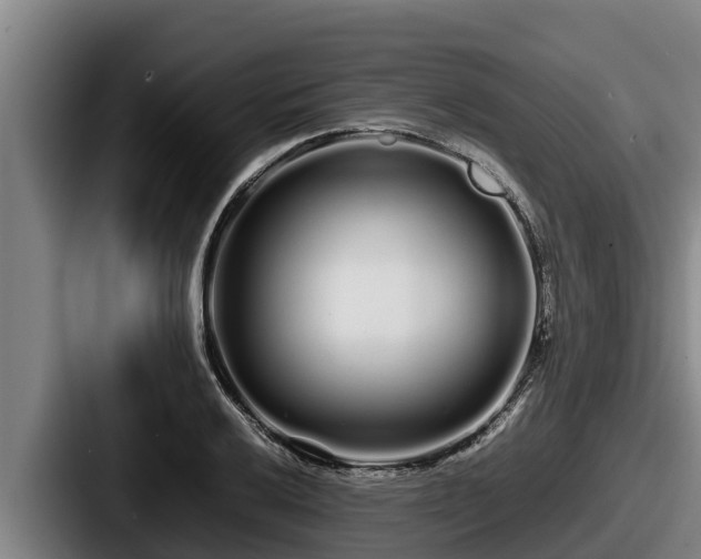 X0000087691032200705111316