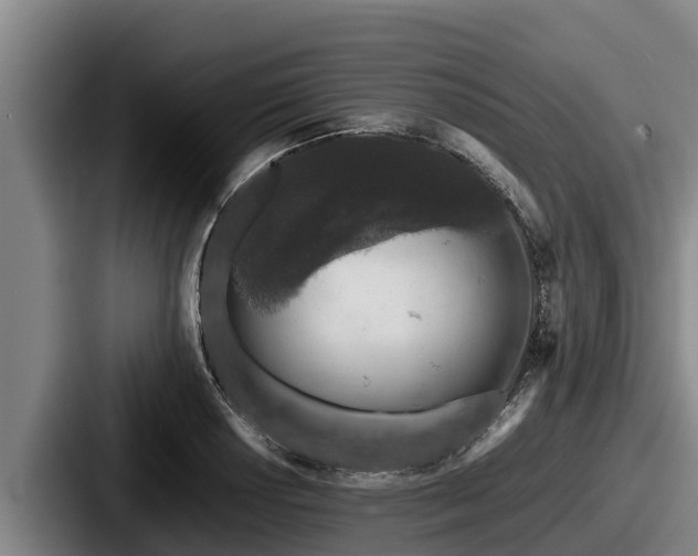 X0000087691034200705111316