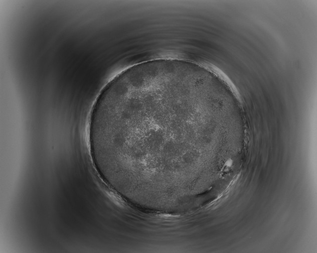 X0000087691035200705111316