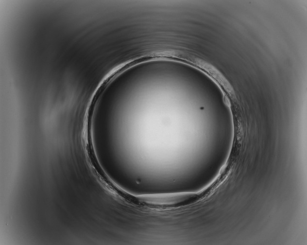 X0000087691036200705111316