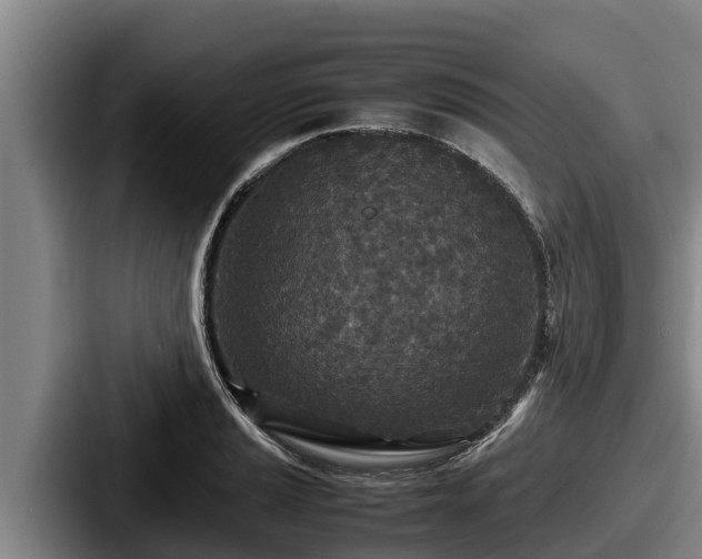 X0000087691037200705111316
