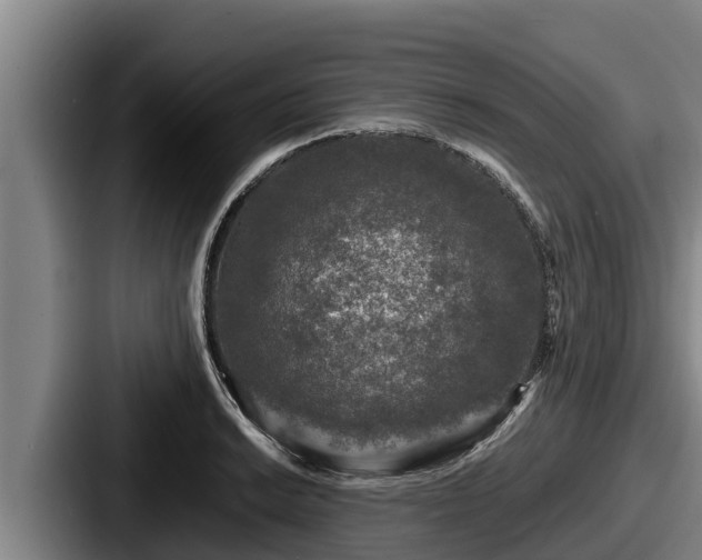 X0000087691038200705111316