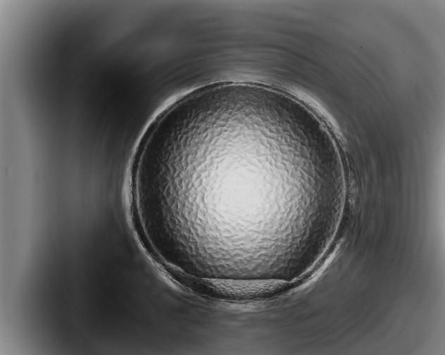 X0000087691040200705111316