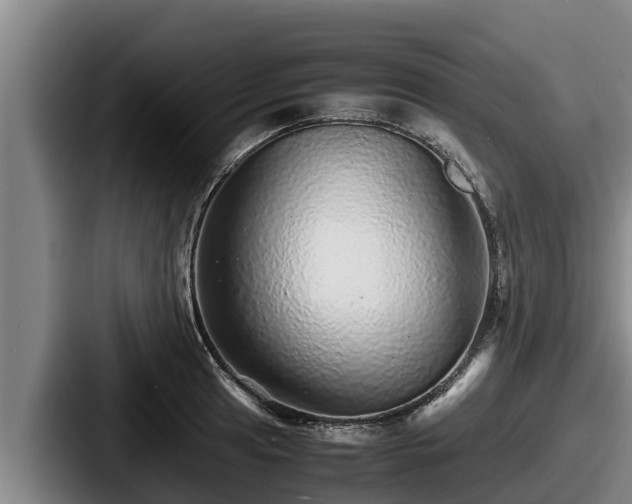 X0000087691041200705111316