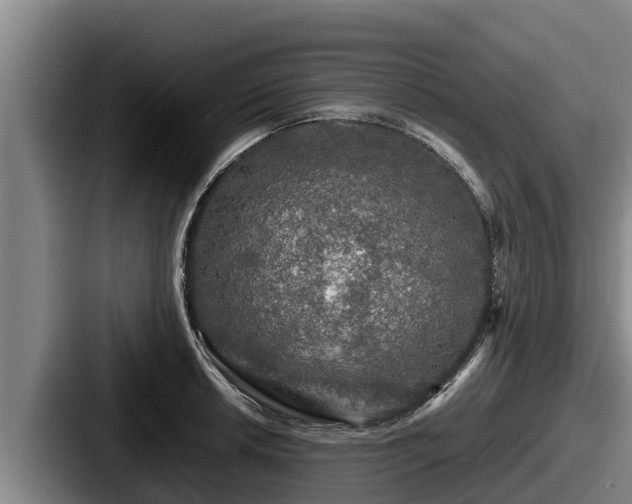 X0000087691042200705111316