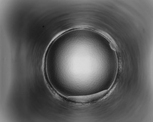 X0000087691044200705111316