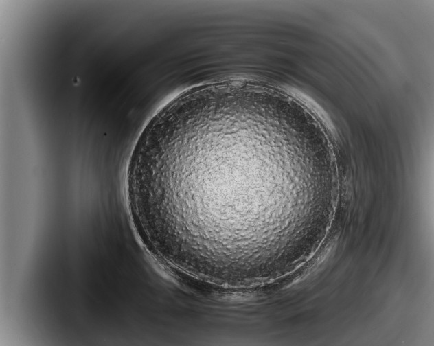X0000087691047200705111316
