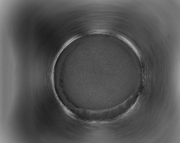 X0000087691050200705111316