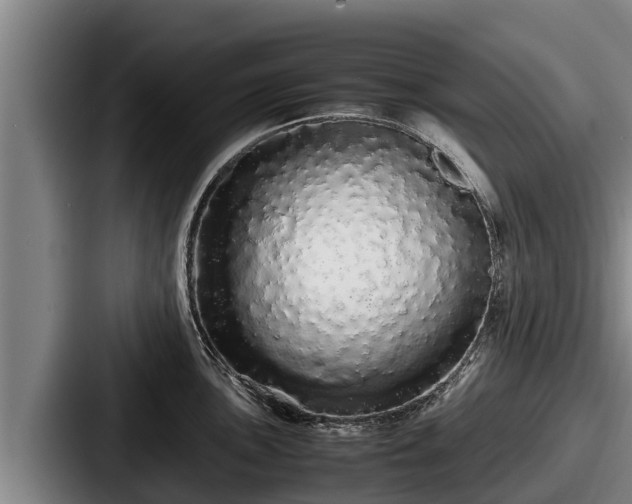 X0000087691051200705111316