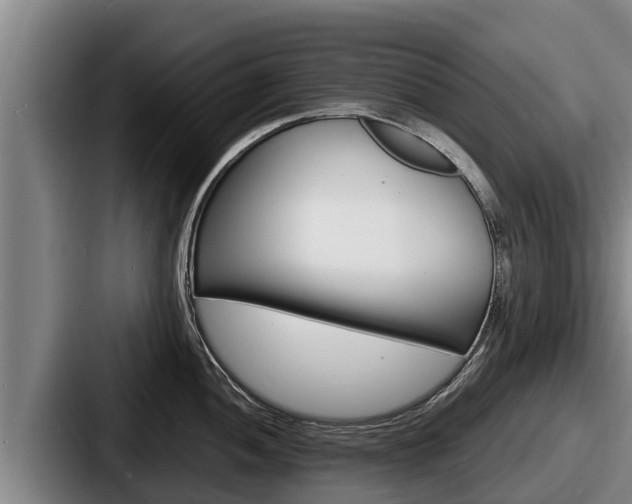 X0000087691052200705111316