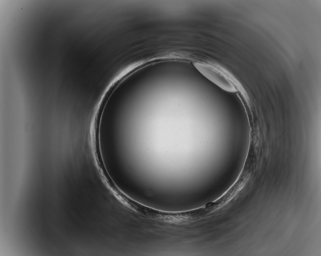 X0000087691053200705111316