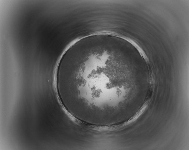 X0000087691054200705111316