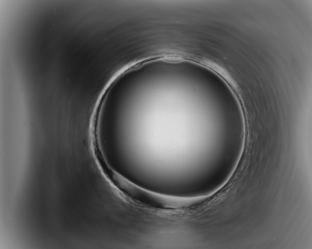 X0000087691056200705111316