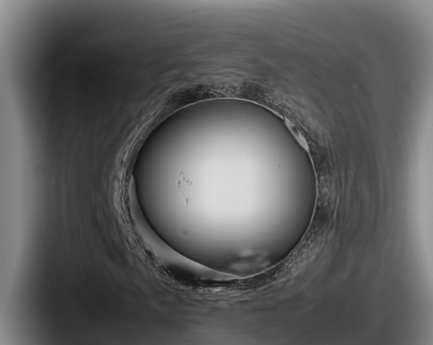 X0000087691057200705111316