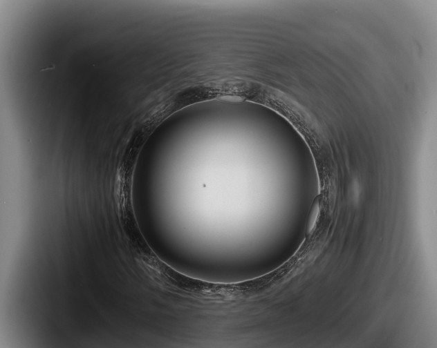 X0000087691058200705111316