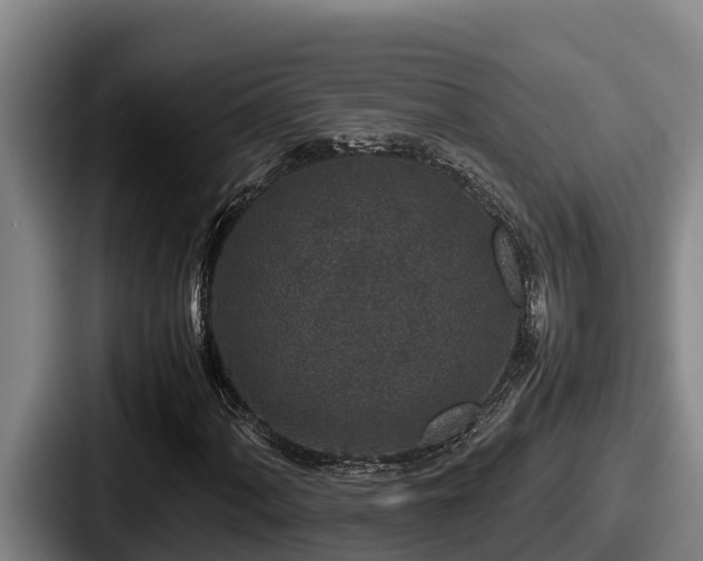 X0000087691060200705111316