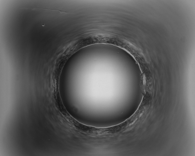 X0000087691061200705111316